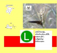 /album/fotogalerie-co-o-houbach-vim1/h-namel-jpg/